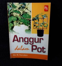 Image of anggur dalam pot